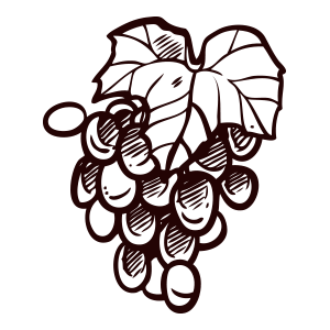 Icon Essenze
